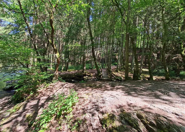 Ferienhaus Droefter Blick